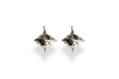 Buckler Earring